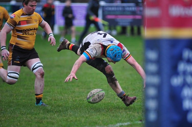 Rugby. Regional 2 Tribute South West.  Newton Abbot All Whites versus Wadebridge Camels