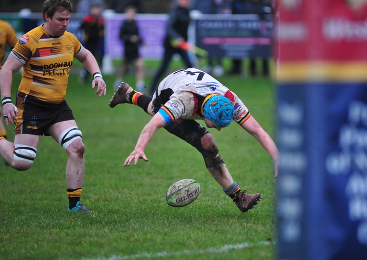 Rugby. Regional 2 Tribute South West.  Newton Abbot All Whites versus Wadebridge Camels