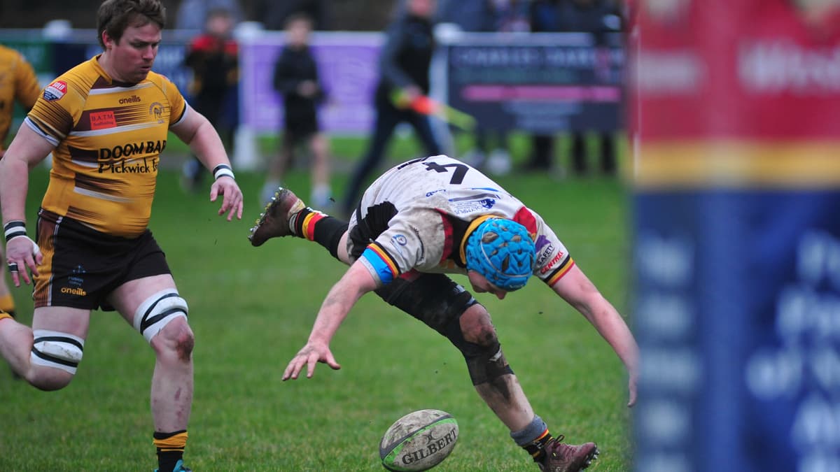 A weekend of intriguing rugby results across the county