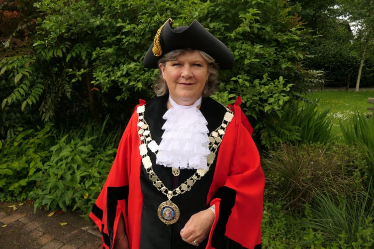 Cllr Debo Sellis  (Mayor of West Devon) has launched her mayoral awards and is looking for deserving community heroes. 