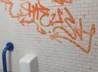 Vandals strike at public loos