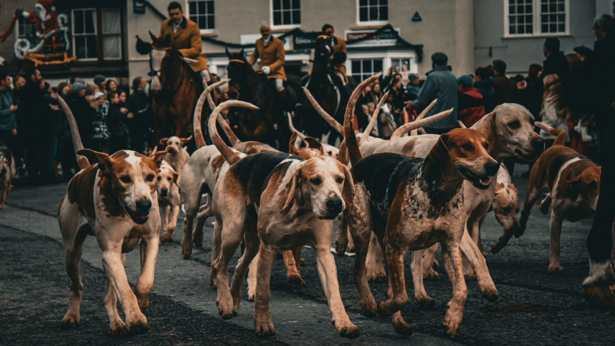 Devon and Cornwall Police issue warning to country hunt group 