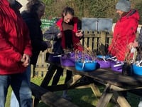 Tree giveaway to enhance Devon's landscape