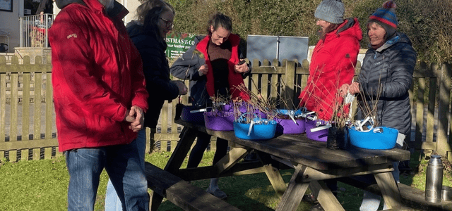 Tree giveaway to enhance Devon's landscape