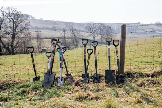 Volunteers needed to help create new woodland site