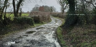 Hamlet have their mail shut off due to 'dangerous' potholes