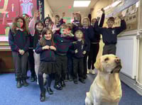 Princetown pupils' tech-free week
