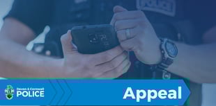 Assault witness appeal