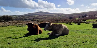 Public reminded to be Dartmoor Wise on moors after isolated incidents