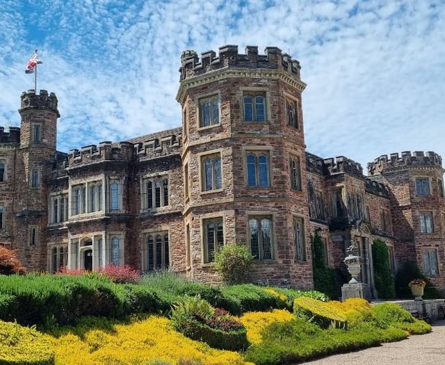Mount Edgcumbe fire-hit businesses could reopen for half term