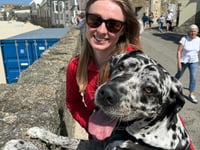 A dog is a vet's best friend
