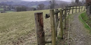 Donations for Mary Tavy footpath needed