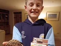 Okey shop donates proceeds of pangolin toy sales to protect real thing
