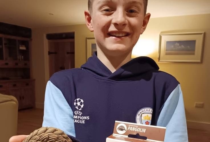 One he made earlier... Sam showing off the 3D pangolin that The Toy Shop in Okehampton is selling to support World Pangolin Day, donating all proceeds to pangolin rescue in South Africa. Picture: The Toy Shop.