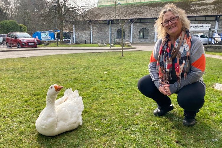 Angela Court is asking bird lovers not to leave food and straw for geese outside Tavistock Wharf because it is a health hazard.