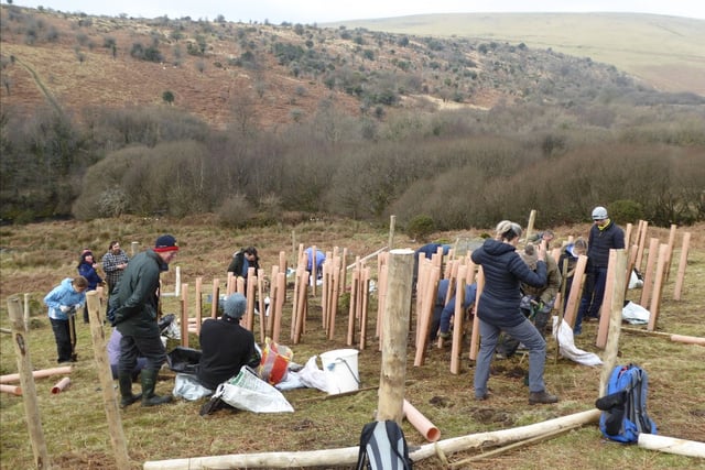 Plan to re-establish ancient woodland is underway