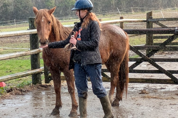 Pony helper, Anna, training Amber