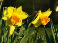 John Howells: Spring is just around the corner