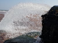 MPs’ anger as South West Water boss faces the music