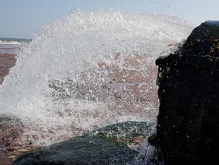 MPs’ anger as South West Water boss faces the music