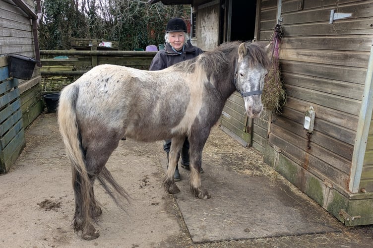 The pony 'Buck' with his helper Jackie