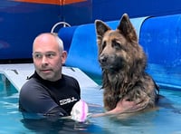 Tavistock dog hydrotherapist shortlisted for award
