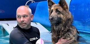 Tavistock dog hydrotherapist shortlisted for award