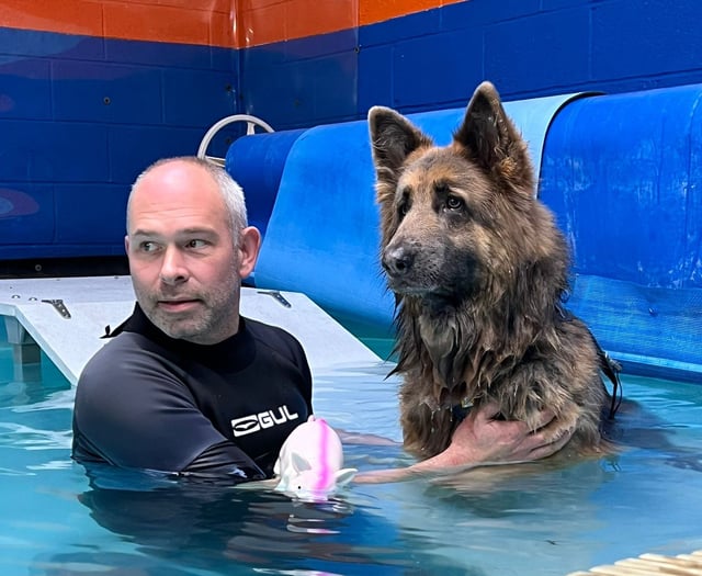 Tavistock dog hydrotherapist shortlisted for award