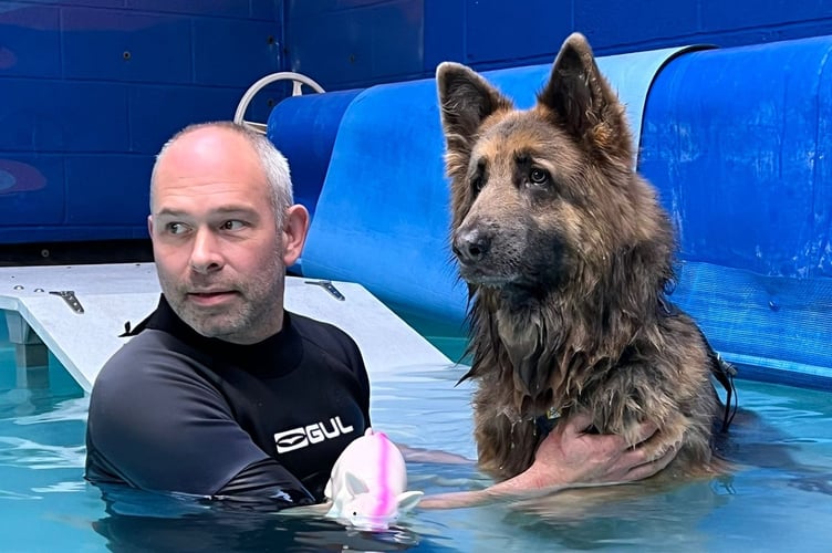 Jon Croad of K9 Hydrotherapy in Tavistock with one of his patients
