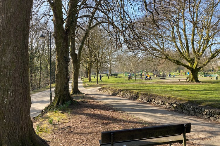 The Meadows, Tavistock in early spring
