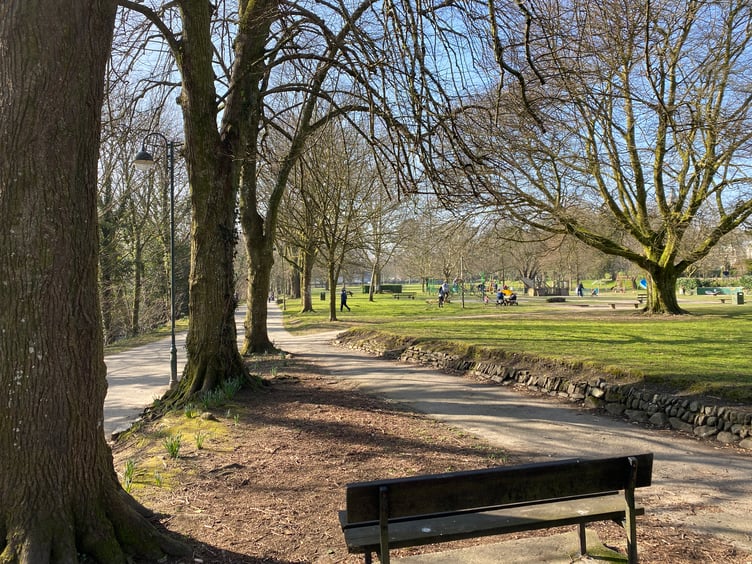 The Meadows, Tavistock in early spring