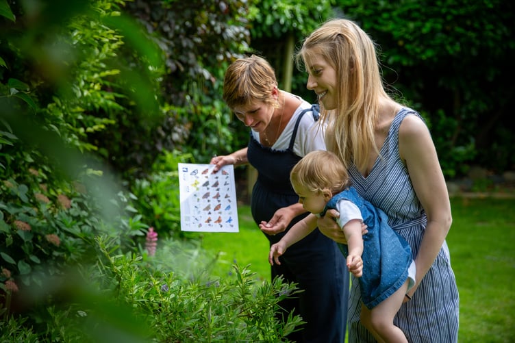 Volunteers are needed to take part in the Big Butterfly Count this summer