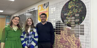 Tavistock man funds research after losing sister to brain cancer