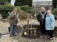 ASB incidents in Callington spark ongoing police response