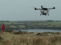 Drones sew rainforest seed