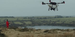 Drones sew rainforest seed