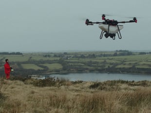 Drones sew rainforest seed
