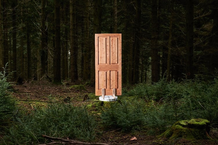 A locally made beech door on display in dense conifer woodland.