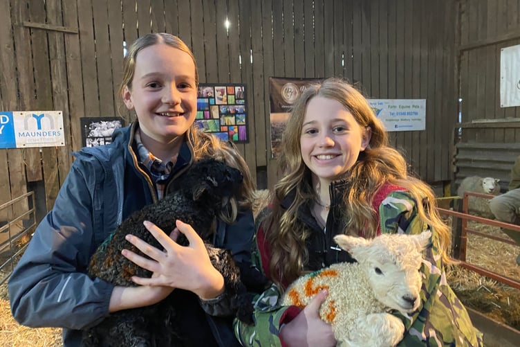Eliza, 12, and Bella, 11, explaining to visitors the importance of farming and lambing at Greenwell Farm.