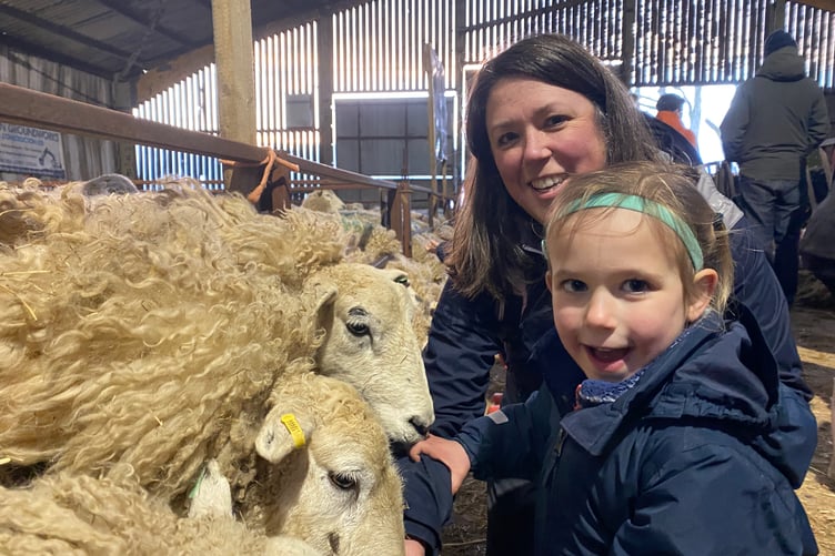 Katy Davies, 4, feeding the sheep with mum Kirsty. at Greenwell Farm