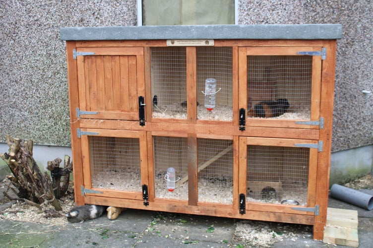 The guinea pig hutch made by the Tavistock Men in Sheds crew