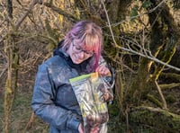 Herbalist to survive on foraged food for three months