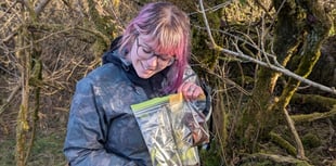 Herbalist to survive on foraged food for three months