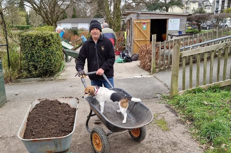 Getting ready for a blooming lovely spring and summer show at Tavistock Sensory Garden.