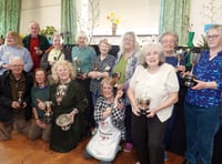 Daffodils dazzle at Bere Ferrers Spring Flower Show