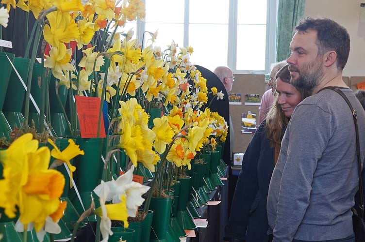 Visitors admire the wide variety of daffodils on display