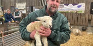 Dog attack law change welcomed on Dartmoor