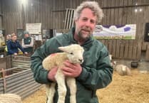 Dog attack law change welcomed on Dartmoor