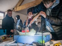Tavistock Youth cafe helps create river exhibition
