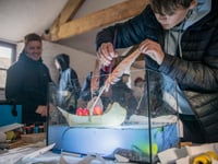 Tavistock Youth cafe helps create river exhibition
